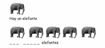 Elephant worksheet