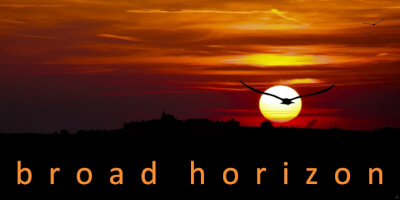 Birds flying at sunset, evoking the idea of broadening your horizon