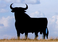 Osborne's bull